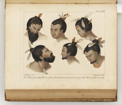 The Heads of Six Men, Illustration from A Journal of a Voyage to the South Seas: In His Majesty